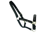LICOL NOIR   STRASS PONY