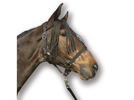 S2G FRONTAL CHASSE-MOUCHES  1P 