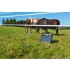 Trapper AS 50 with solar panel 10W