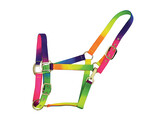 S2G LICOU RAINBOW AVEC BOUCLE DOREE COB