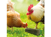 S2G CRISPY BAR LUZERNE POULTRY 3 5KG 4PC