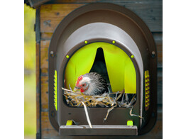LAYING NEST COSY FOR CHICKENS