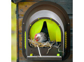 LAYING NEST COSY FOR CHICKENS