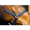 S2G LICOU STANDARD TAILLE HAFLINGER BLEU
